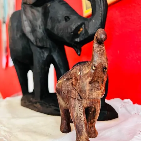 דירה Mira פולה