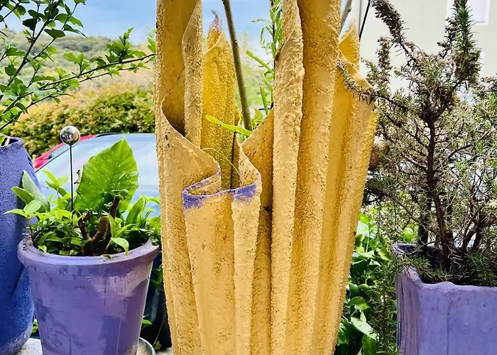 아파트 Mira 풀라