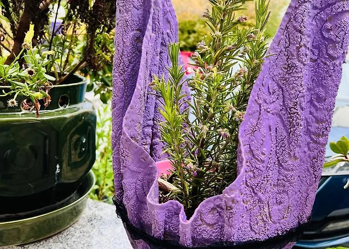 Mira 아파트 풀라